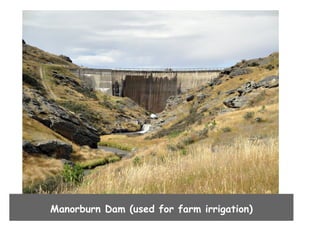 Manorburn Dam (used for farm irrigation)

 
