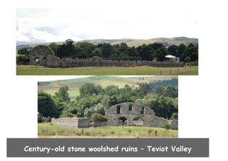 Century-old stone woolshed ruins – Teviot Valley

 