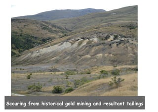 Scouring from historical gold mining and resultant tailings

 