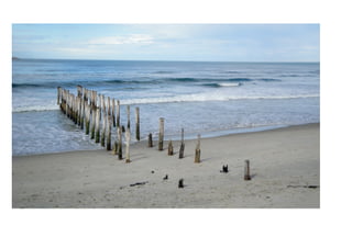 South Island Adventure 2