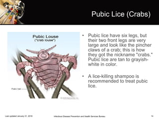 Pubic Lice (Crabs)
• Pubic lice have six legs, but
their two front legs are very
large and look like the pincher
claws of a crab; this is how
they got the nickname "crabs."
Pubic lice are tan to grayish-
white in color.
• A lice-killing shampoo is
recommended to treat pubic
lice.
Last updated January 31, 2018 Infectious Disease Prevention and Health Services Bureau 14
 