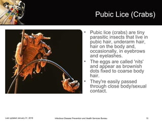 15
Pubic Lice (Crabs)
• Pubic lice (crabs) are tiny
parasitic insects that live in
pubic hair, underarm hair,
hair on the body and,
occasionally, in eyebrows
and eyelashes.
• The eggs are called 'nits'
and appear as brownish
dots fixed to coarse body
hair.
• They're easily passed
through close body/sexual
contact.
Photo: www.bbc.co.uk
Infectious Disease Prevention and Health Services BureauLast updated January 31, 2018
 