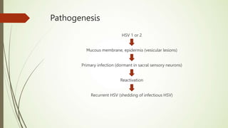 Pathogenesis
HSV 1 or 2
Mucous membrane, epidermis (vesicular lesions)
Primary infection (dormant in sacral sensory neurons)
Reactivation
Recurrent HSV (shedding of infectious HSV)
 