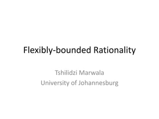 Flexibly-bounded Rationality
Tshilidzi Marwala
University of Johannesburg
 