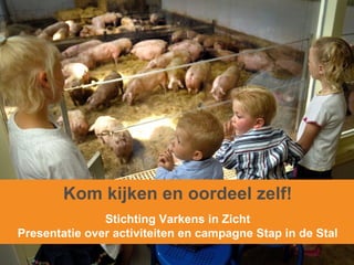 Kom kijken en oordeel zelf! Stichting Varkens in Zicht Presentatie over activiteiten en campagne Stap in de Stal 