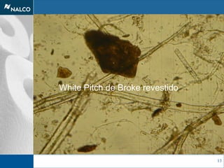 13
White Pitch de Broke revestido
 