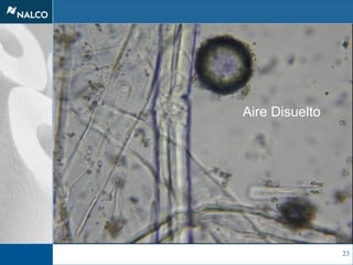 23
Aire Disuelto
 