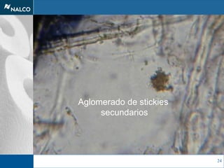 24
Aglomerado de stickies
secundarios
 