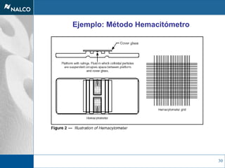 30
Ejemplo: Método Hemacitómetro
 