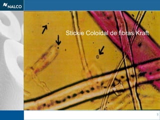 7
Stickie Coloidal de fibras Kraft
 