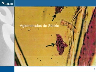 8
Aglomerados de Stickie
 