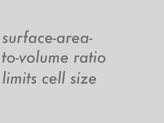 surface-area-
to-volume ratio
limits cell size
 