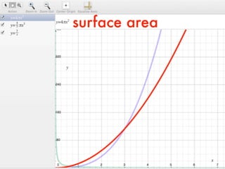 surface area
 