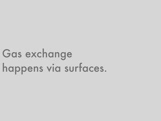 Gas exchange
happens via surfaces.
 