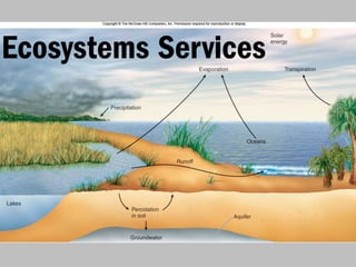 Ecosystems Services
 