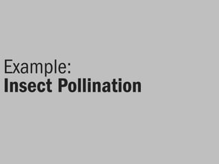 Example:
Insect Pollination
 