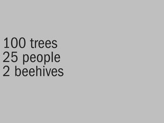 100 trees
25 people
2 beehives
 