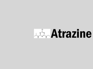Atrazine
 