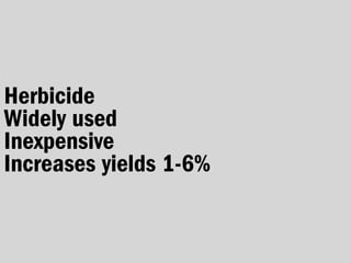 Herbicide
Widely used
Inexpensive
Increases yields 1-6%
 
