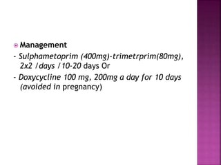  Management
- Sulphametoprim (400mg)-trimetrprim(80mg),
2x2 /days /10-20 days Or
- Doxycycline 100 mg, 200mg a day for 10 days
(avoided in pregnancy)
 