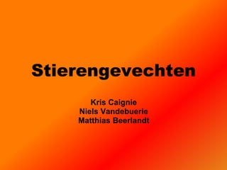 Stierengevechten Kris Caignie NielsVandebuerie Matthias Beerlandt 