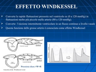  Converte le rapide fluttuazioni pressorie nel ventricolo sx (0 a 120 mmHg) in
fluttuazioni molto più piccole melle arterie (80 a 120 mmHg).
 Converte l’eiezione intermittente ventricolare in un flusso continuo a livello vasale
 Questa funzione delle grosse arterie è conosciuta come effetto Windkessel
EFFETTO WINDKESSEL
Pressione diast.=W+R
 