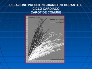 RELAZIONE PRESSIONE-DIAMETRO DURANTE IL
CICLO CARDIACO
CAROTIDE COMUNE
 