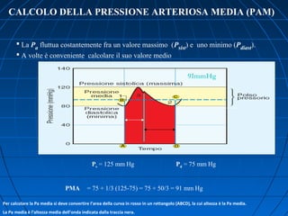 CALCOLO DELLA PRESSIONE ARTERIOSA MEDIA (PAM)
PMA = Pd + 1/3 (Ps-Pd)
Ps = 125 mm Hg Pd = 75 mm Hg
= 75 + 1/3 (125-75) = 75 + 50/3 = 91 mm HgPMA
 La Pa fluttua costantemente fra un valore massimo (Psist) e uno minimo (Pdiast).
 A volte è conveniente calcolare il suo valore medio
91mmHg
Per calcolare la Pa media si deve convertire l’area della curva in rosso in un rettangolo (ABCD), la cui altezza è la Pa media.
La Pa media è l’altezza media dell’onda indicata dalla traccia nera.
 