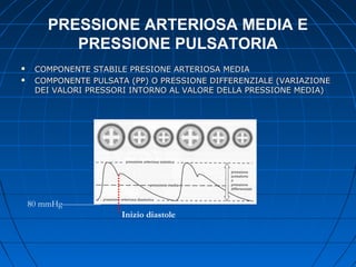 PRESSIONE ARTERIOSA MEDIA E
PRESSIONE PULSATORIA
 COMPONENTE STABILE PRESIONE ARTERIOSA MEDIACOMPONENTE STABILE PRESIONE ARTERIOSA MEDIA
 COMPONENTE PULSATA (PP) O PRESSIONE DIFFERENZIALE (VARIAZIONECOMPONENTE PULSATA (PP) O PRESSIONE DIFFERENZIALE (VARIAZIONE
DEI VALORI PRESSORI INTORNO AL VALORE DELLA PRESSIONE MEDIA)DEI VALORI PRESSORI INTORNO AL VALORE DELLA PRESSIONE MEDIA)
80 mmHg
Inizio diastole
 