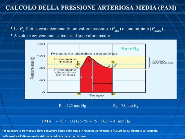 Stiffness arterioso. Dott. Mauro Zanocchi
