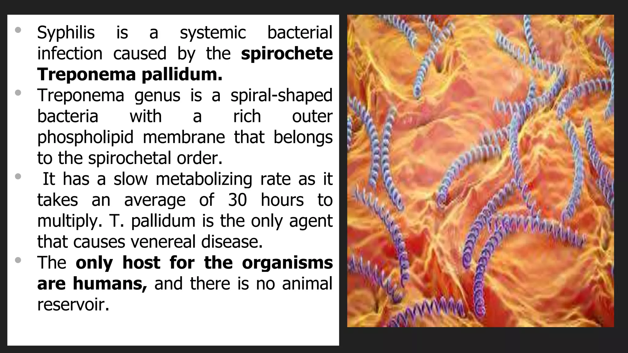 Syphilis Host Sexually transmitted infections | PPTX