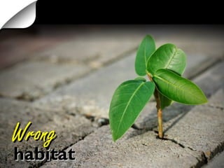 dominandominan inferiorinferior
WrongWrong
habitathabitat
 