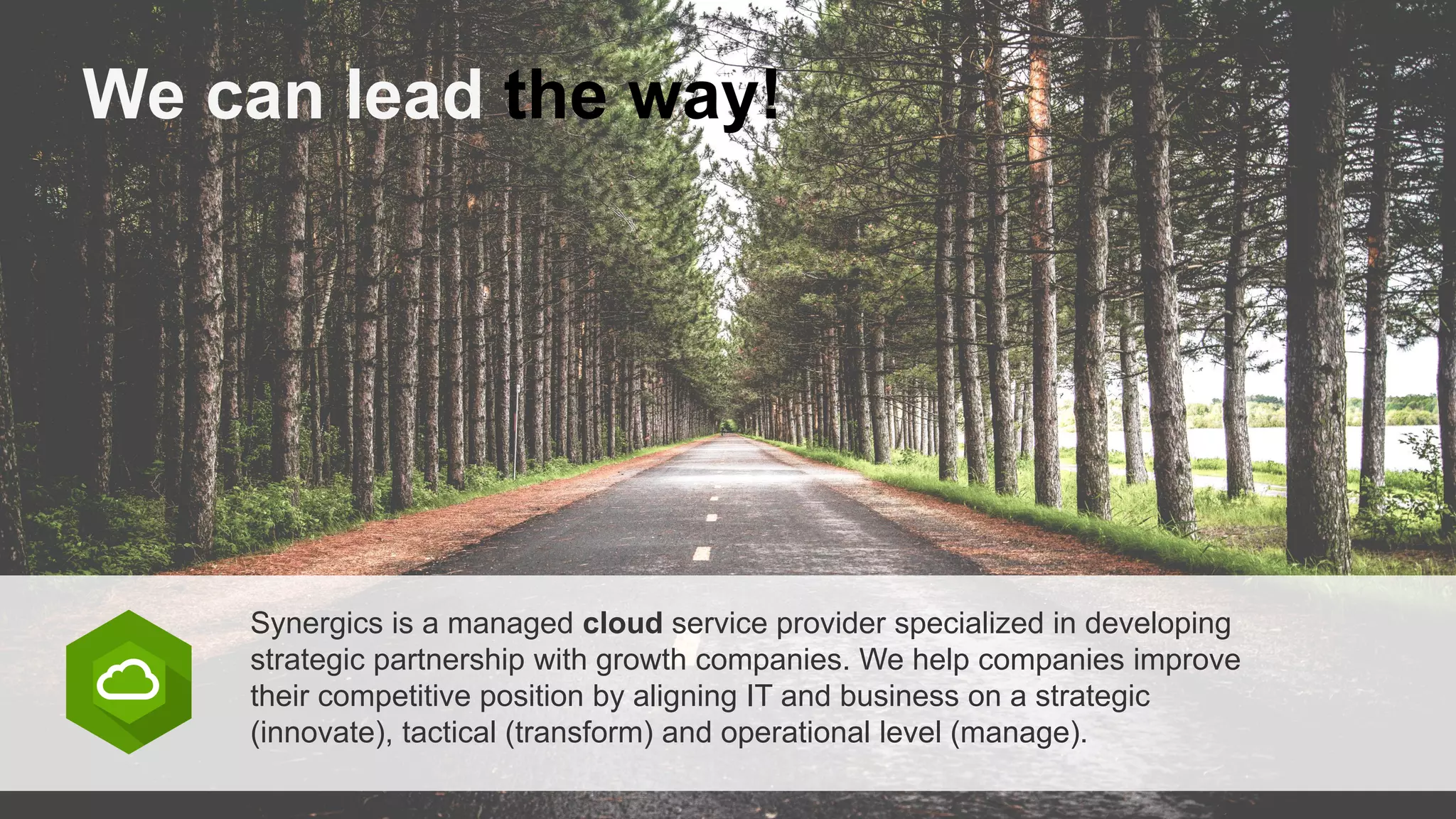 We can lead the way!
Synergics is a managed cloud service provider specialized in developing
strategic partnership with growth companies. We help companies improve
their competitive position by aligning IT and business on a strategic
(innovate), tactical (transform) and operational level (manage).
 