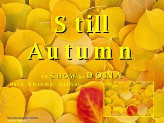 Still Autumn PP  SHOW  by  DOINA Music: SHAKIRA - ILLEGAL  http://www.slideshare.net/doina Copyright reserved 