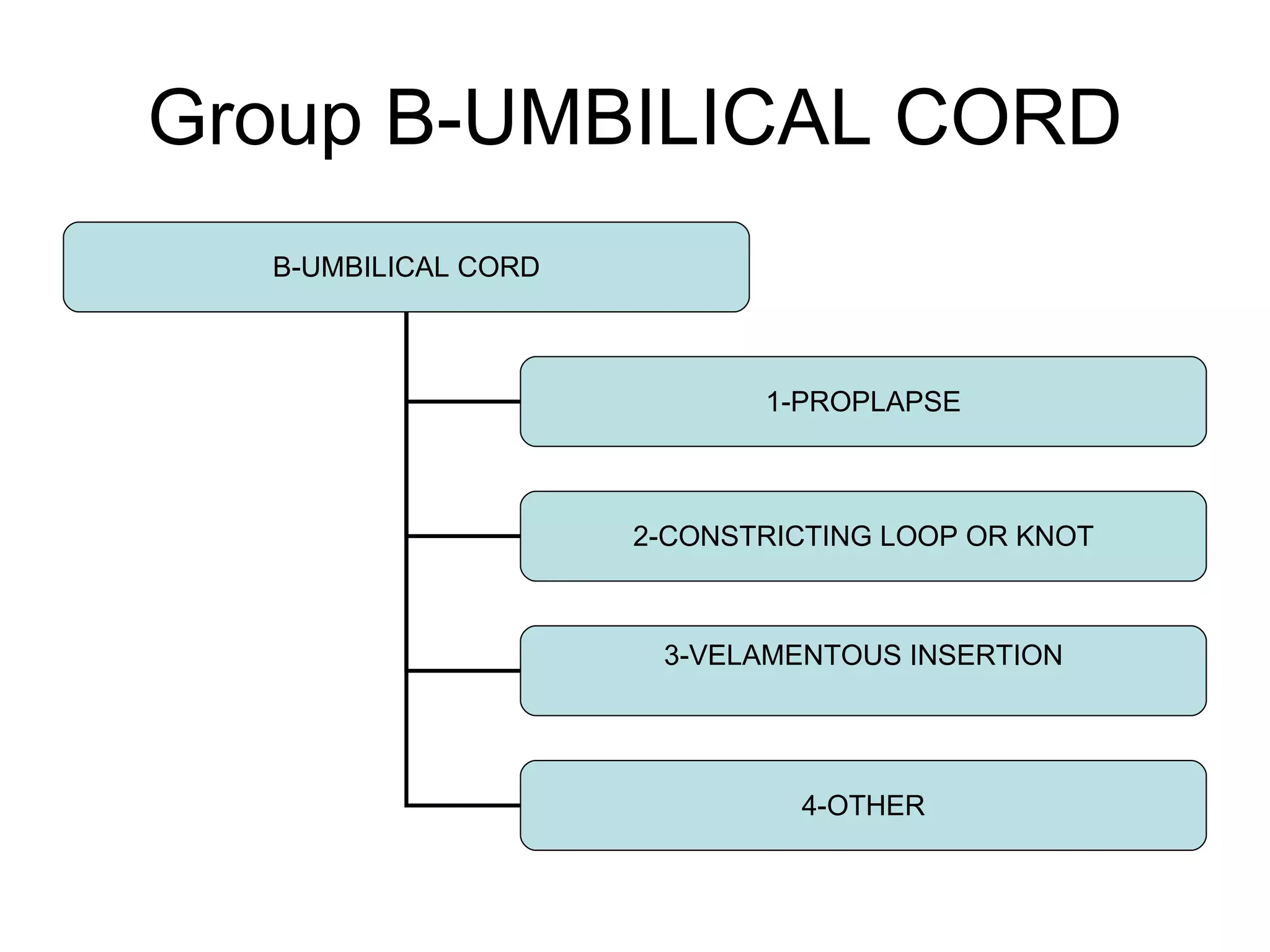 Group B-UMBILICAL CORD B-UMBILICAL CORD 1-PROPLAPSE 2-CONSTRICTING LOOP OR KNOT 3-VELAMENTOUS INSERTION 4-OTHER 