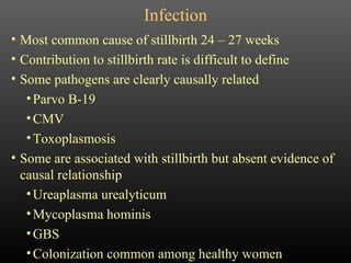 Infection Most common cause of stillbirth 24 – 27 weeks Contribution to stillbirth rate is difficult to define Some pathogens are clearly causally related Parvo B-19 CMV Toxoplasmosis Some are associated with stillbirth but absent evidence of causal relationship Ureaplasma urealyticum Mycoplasma hominis GBS Colonization common among healthy women 