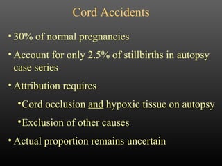 Cord Accidents 30% of normal pregnancies Account for only 2.5% of stillbirths in autopsy case series Attribution requires Cord occlusion  and  hypoxic tissue on autopsy Exclusion of other causes Actual proportion remains uncertain 