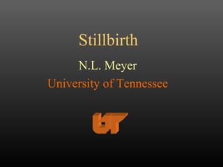 Stillbirth N.L. Meyer University of Tennessee 