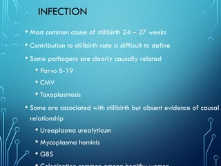 INFECTION
• Most common cause of stillbirth 24 – 27 weeks
• Contribution to stillbirth rate is difficult to define
• Some pathogens are clearly causally related
• Parvo B-19
• CMV
• Toxoplasmosis
• Some are associated with stillbirth but absent evidence of causal
relationship
• Ureaplasma urealyticum
• Mycoplasma hominis
• GBS
 