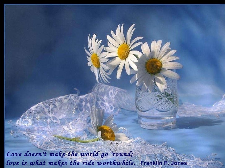 Still life and_quotations