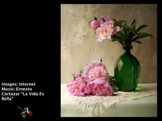 Images: Internet
Music: Ernesto
Cortazar “La Vida Es
Bella”
A
 