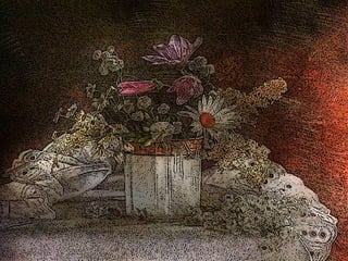 Stilllifesildy