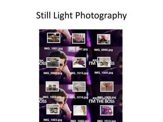 Still Light Photography
 