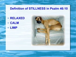 Definition of STILLNESS in Psalm 46:10
RELAXED
CALM
LIMP