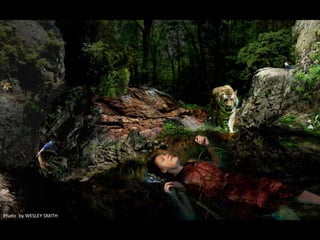 Photo by WESLEY SMITH
 