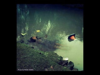 Photo by ROSIE HARDY
 