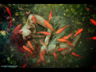 Photo by DIANA DEBORD
 