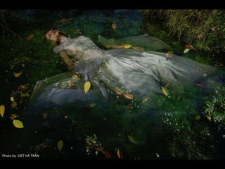 Photo by VIET HA TRAN
 