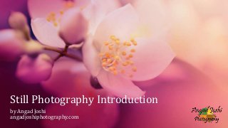 Still Photography Introduction
by Angad Joshi
angadjoshiphotography.com
 