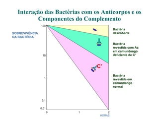 Interação das Bactérias com os Anticorpos e os Componentes do Complemento C’ HORAS 2 1 0 SOBREVIVÊNCIA DA BACTÉRIA 0,01 0,1 1 10 100 Bactéria descoberta Bactéria revestida com Ac em camundongo deficiente de C’ Bactéria revestida em camundongo normal 
